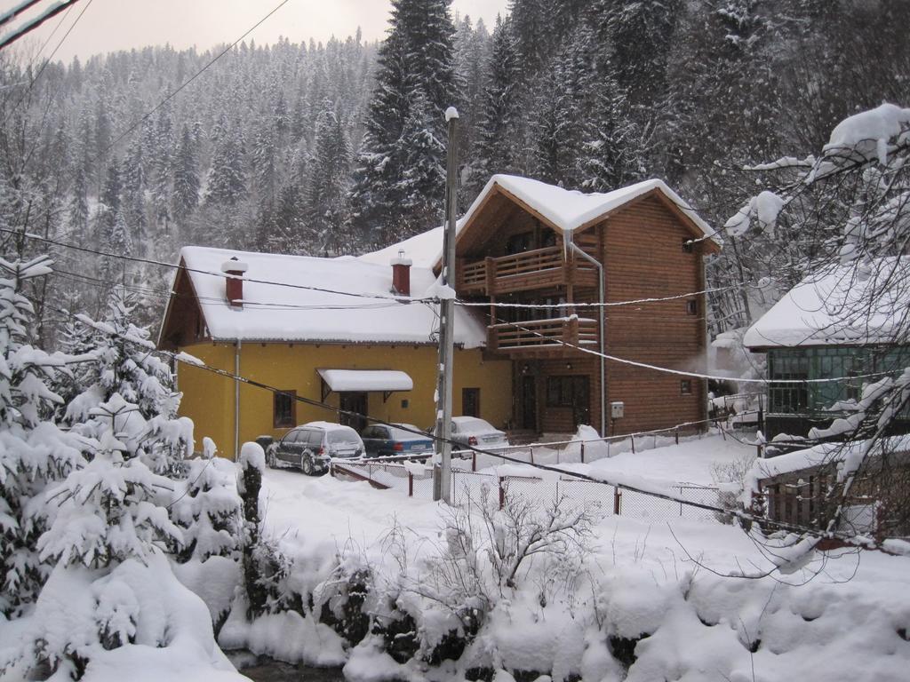 Cabana Bradul Rodna Exterior photo
