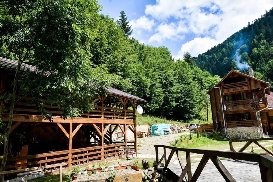 Cabana Bradul Rodna Exterior photo